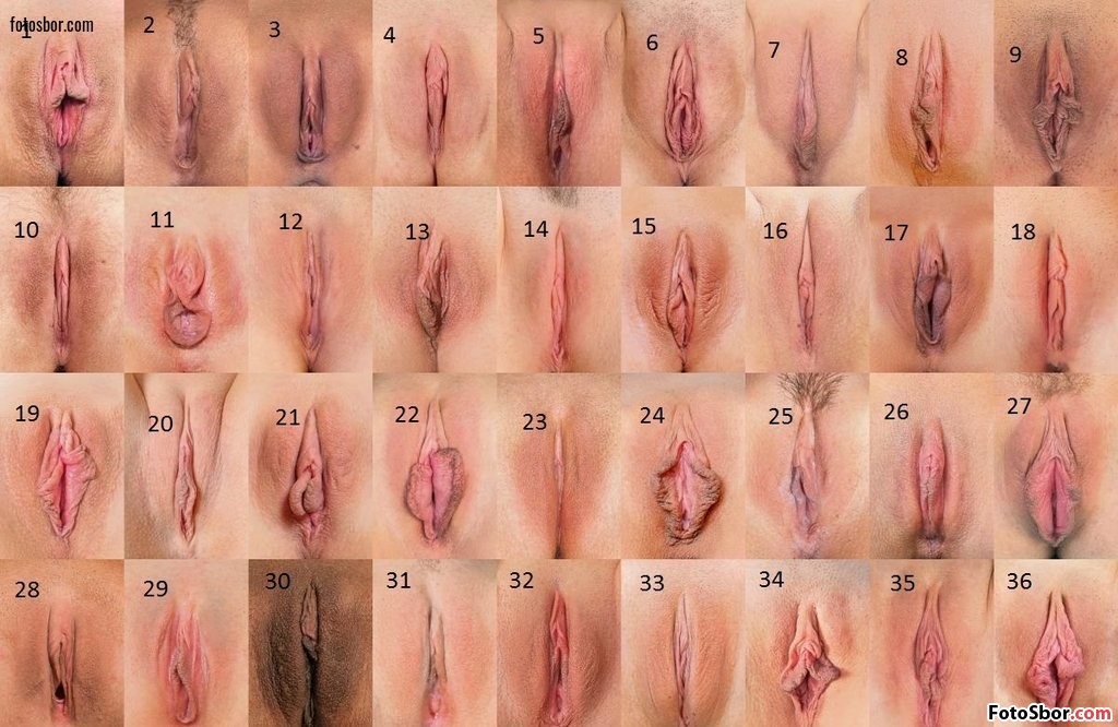Красивые бритые вагины (56 фото)